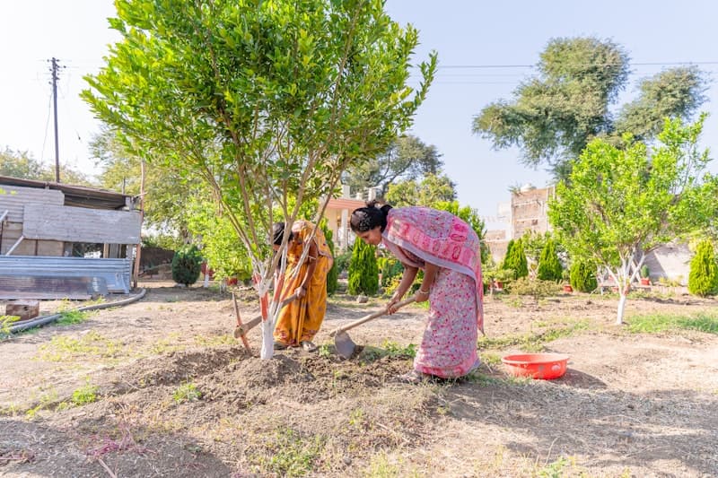 Green village tree plantation